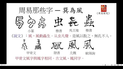 巽為風復合|簡 易